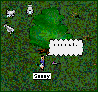 sassy goats clan lord